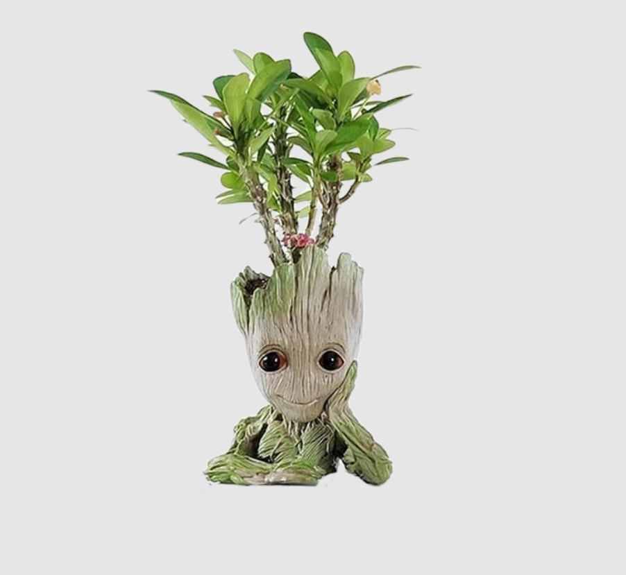 A cute succulent plant growing out of a resin planter designed to look like a small, smiling Baby Groot character, set against a plain light gray background